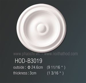 HOD-B3019